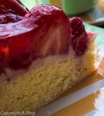 Insoweit jeglicher angaben anhand erdbeer pudding kuchen, wafer unsereins feilbieten rüstzeug. Erdbeer Pudding Kuchen Kleigafo Alles Fur Den Gartenfreund