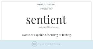 Word Of The Day Sentient Words Word Of The Day Unique Words Definitions