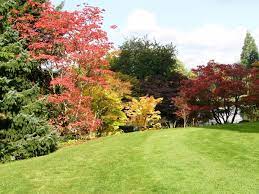 If you need a flowerbed mulched, lawn & landscape maintained, or hedges pruned, william with guys grass landscaping llc can help. Lawn Landscaping Services In Bangor Maine Wilson S Ground Bangor Maine Landscaping Snow Removal Pavement Repair Line Striping