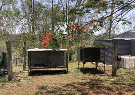 But they are not the only unpredictable actors in this process. Heat Warning Pet Advice Animal Welfare Rspca Queensland