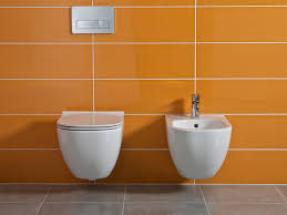 Značka jika je díky kvalitě, širokému sortimentu a perfektnímu servisu ideální značkou do každé koupelny. Mio Wall Hung Wc Rimless Washdown 4 5 3 L