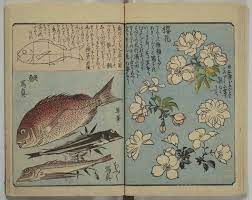 picture book for the practice of drawing ehon tebikigusa 絵本手引草 drawings illustration art japanese art