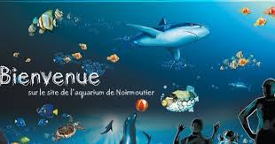 Bienvenue Sur Le Site De L Aquarium Sealand De Noirmoutier En Vendee Noirmoutier Ile De Noirmoutier Aquarium
