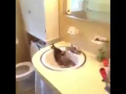 i get up youtube