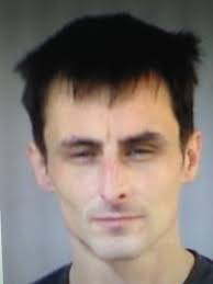 Anthony Deville jailed at Southampton Crown Court after admitting 18 raids  across New Forest