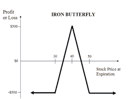 Iron Condors Explained Online Option Trading Guide