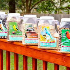 All About Bird Seed