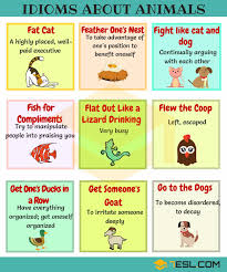 Animal Idioms 165 Useful Animal Idioms From A Z 7 E S L English Idioms Idioms Idioms And Phrases