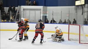 Trojan commits to play Junior A hockey back home