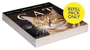 Cat Page A Day Gallery Calendar 2021 Refill Pack