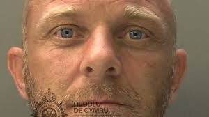 S4C: Welsh broadcaster's chairman to exit after chief executive sacked