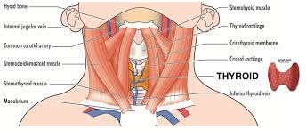 Minimally Invasive Thyroid Surgery At Fort Worth Ent