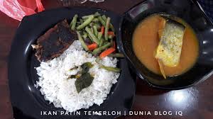 Resepi istimewa & asli daripada temerloh pahang, bandar ikan patin. Ikan Patin Masak Tempoyak Sedap Di Temerloh Catering Wangsa Maju Dunia Blog Iq