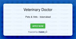 And / or commercial organization in or outside. Veterinary Doctor Job Islamabad Pets Vets Rozee Pk