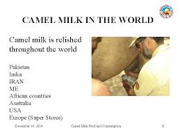Hinkle's new book is now for sale, camel milk health and wellness. The Camel Milk Younas M 1 K Ishaq