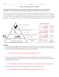 9 best ecosystems images on pinterest from ecosystem worksheet, source:pinterest.com. Energy Through An Ecosystem Worksheet
