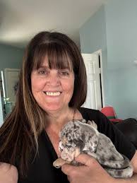 Happy staffy cross boy sleeping with a big grin