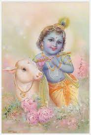 Vintage Indian Greeting Card Of A Young Krishna Hindu Baby Calf Flute Envelope Included Cellophane Wrapp Krishna Art Krishna Radha Painting Little Krishna