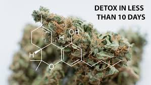Needless to say, these will not always appear and the extent of these symptoms will change from one person to the next. Best Thc Detox 2020 How To Pass A Drug Test In Less Than 10 Days
