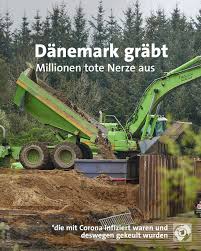 Nun müssen einige kadaver wieder raus aus der erde, weil eine verseuchung des grundwassers droht. Facebook