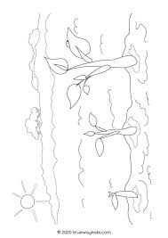 Parable sower version 1 flip chart mustard seed coloring page. The Parable Of The Mustard Seed Trueway Kids