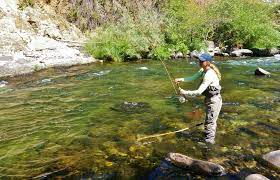 The midsummer doldrums that hit the northern california region in the early weeks of july seem to have kicked the bucket, as the fishing on almost all of the local rivers has really started to pick up over the past week. 17 Best Fly Fishing Rivers In California Top Trout And Steelhead Streams Best Fishing In America