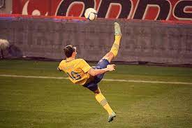 Zlatan Ibrahimovic Zlatan Ibrahimovic Ibrahimovic Top 10 Goals