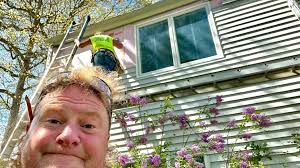 RayMac Window Replacement Free...