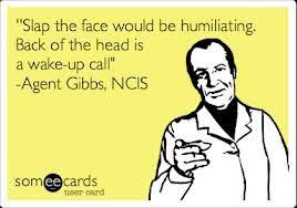 I learned from working in the fashion world that if i have a day when i feel slapped in the face, or if someone has been mean, i just have to get back up and it will be another day. Pin By Bethany Goralski On Ncis Ncis La Ncis Ncis Rules Geeky Quotes