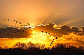 250 Perfect Sunset Captions For Instagram 2021 The Wanderlust Within