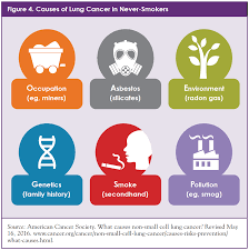 The latter group is more likely to develop lung cancer as a result of a genetic mutation or abnormality. Personalizing Treatment For Patients With Non Small Cell Lung Cancer The Important Role Of Biomarker Testing Conquer The Patient Voice