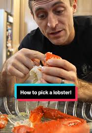 How Do Lobster Scales Sork