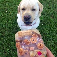 Although you can essentially just buy one online or from a pet store, just imagine using your hands to make that happen for your furry friend. 5 Genius Ways To Cool Down Dogs Healthy Paws Pet Insurance