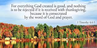 John paul ii was a man of gratitude and wisdom. 35 Great Thanksgiving Bible Verses For Gratitude And Giving Thanks Scripture Quotes