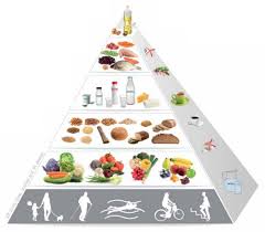 Piramida Żywieniowa i opis. Obowiązująca w 2020 Piramida Żywieniowa