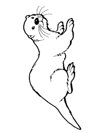 Print Coloring Image Momjunction Otter Drawing Animal Coloring Pages Drawings