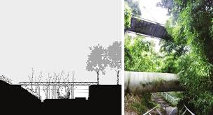 L'avis de bianca ici, l'avis de peggy ici. Jardin Des Bambous Parc De La Villette Exemplifies The Multisensory Download Scientific Diagram