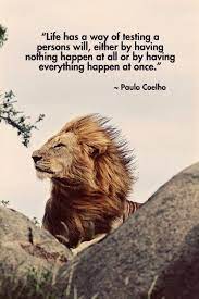 Inspiring Quotes Inspiring Words By Paulo Coelho Brilliant Quote Words Lions