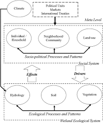 The Eco Social Transformation Of Urban Wetlands A Case