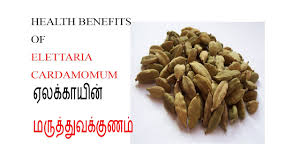 Health Benefits Uses Of Cardamom Tamil à®à®²à® à® à®¯ à®à®³ à®³ à®®à®° à®¤ à®¤ à®µ à® à®©à®® Youtube Elaichi chai is a very famous. youtube