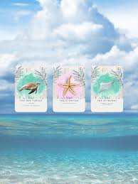 What Are Oracle Cards Salt Sea Energy