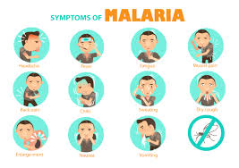 Malaria Symptoms Diagnosis Prevention And Diet Plan