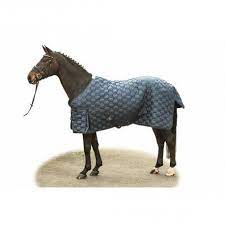 couverture hiver box 250gr couverture de cheval couverture hiver