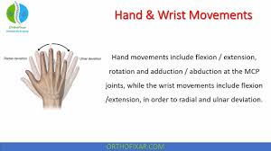 Image result for Normal Anatomic Position of the Hand and Wrist