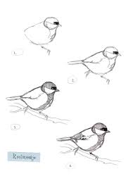 Tekening in oostindische inkt met phtalogroen accent (acryl). Koolmees Tekenen Uit Flow Bird Drawings Birds Painting Drawings