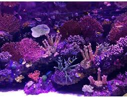 Antalya Aquarium