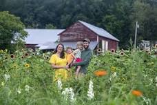 Summer Farm Tour: Wood's Market Garden