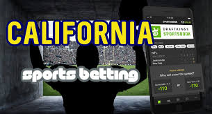 Make bets on nfl, nhl, nba and cfl, horse racing, politics and more. Industry Leaders Gear Up For California Sports Betting Legalization Actionrush Com