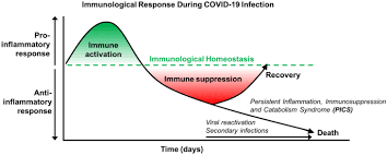 The pathogenesis of chronic immune thrombocytopenic purpura. A Review Of Persistent Post Covid Syndrome Ppcs Springerlink