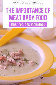 The Importance Of Meat Baby Food Best Recipes Included In 2020 Meat Baby Food Baby Food Recipes Turkey Baby Food Recipe